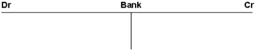 t accounts and ledgers