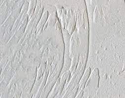 We did not find results for: Ceiling Texture Types Pattern Design Ideas Designing Idea