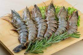 Maybe you would like to learn more about one of these? 8 Jenis Udang Paling Populer Dan Enak Di Indonesia