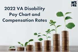 2022 VA Disability Pay Chart and Compensation Rates: Cost-of-Living  Adjustment | CCK Law