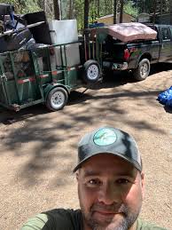 Tree work is for professionals only