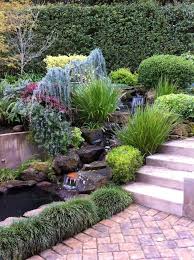 Weeping Blue Atlas Cedar Landscape Traditional With Waterfall Jpg 740 990 Pixels Weeping Blue Atlas Cedar Blue Atlas Cedar Backyard Landscaping Designs