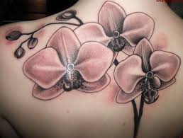 Charger un sur peut aider vous tout le monde, n'oubliez pas de voir d'autres intéressants. Idee Tatouage Orchidee Symbolique Faits Curieux Et Photos Inspirantes