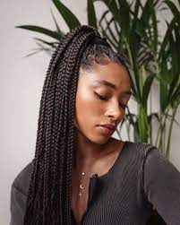 Box Braided High Ponytail Inspiration In 2021 Black Box Braids Black Hair Extensions Braided Hairstyles