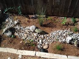 Foto in urban backyard & rain garden. Why And How You Can Create A Rain Garden Or Diy Backyard Aquifer