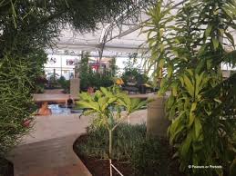 After an exhilarating day of exploring on foot, climbing the great sand dunes, or even shopping in downtown alamosa, there's no better way to top off your day with a restorative soak. Sand Dunes Pool Our Favorite Hot Springs Camping Colorado Peanuts Or Pretzels