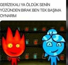 Suheyla Adli Kullanicinin Ididsyssssudusspy Panosundaki Pin 2020 Komik Seyler Bebek Hamster Komik