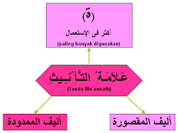 Prediksi spanyol vs arab saudi 8 september 2012 uji coba. Ù†Ø­Ùˆ Nahu Pelajaran 3 Contoh Contoh Alif Mamdudah Belajar Bahasa Bahasa Arab