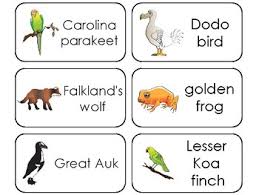 Extinct Animals Worksheets Teaching Resources Tpt