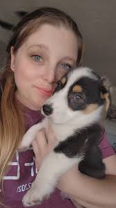 Say yes if you are a corgi lover or owner.