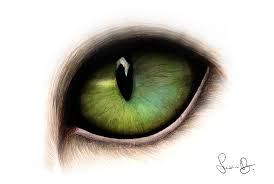 All free to use for any warrior cat project. Cat Eye Paintings