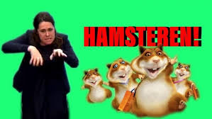 Als je deze tolk het woord hamsteren zag uitbeelden dan doe je het nooit meer vrt nws nieuws verbazing tijdens persconferentie waarom vertrok doventolk irma sluis rtl boulevard Video Hilarisch Zo Ziet Hamsteren Er In Gebarentaal Uit Metro Krant
