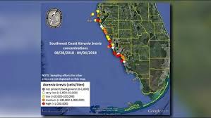 Red tide current status most recent 8 days of sampling. Fwc Releases New Red Tide Map As It Works To Determine If Gordon Helped Break Up The Bloom Wtsp Com