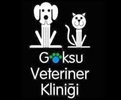 pitbull renkleri ve turleri nelerdir kopek hakkinda her sey pitbull