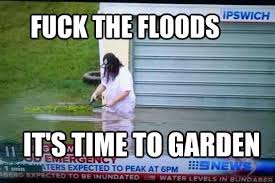 Meanwhile In Australia Meme Google Search Funny Aussie Aussie Memes Australia Meme