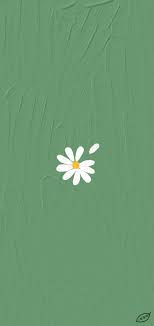 Two roses rose bunga mawar indah hitam putih poster bunga. Wallpaper Hd Laptop Bunga