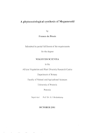 Image result for Baissea wulfhorstii