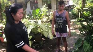 We walked round the ruined garden so she went and the priest led us into a beautiful apartment that opened on to a sheltered garden. Wow What A Beautiful Garden We Found In Dao Amazing Full Of Beautiful And Cheap Plants Youtube
