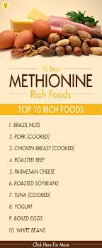 10 Best Lysine Rich Foods Food Lysine Rich Foods Healthy