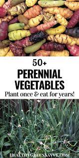 Perennial Vegetables To Plant Once Harvest For Years Perennial Vegetables Vegetables Planting Vegetables