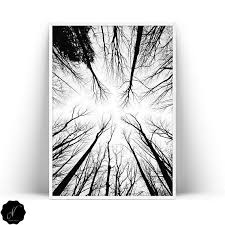 Art Nature Drawing Black And White Minimalist Scandinavian Wall Art Prints Nature Forest Etsy In 2020 Scandinavian Wall Art Nature Canvas Art Black Wall Art