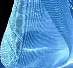 Luminous Fabric Luminous Clothing Fiber Optic Clothing Fiber Optic Fabric Illuminated Clothing Light Up Fabric G Fiber Optic Fabric Fabric Smart Textiles