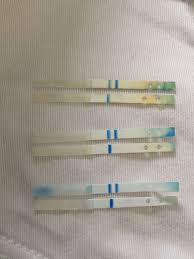 Clearblue Predictor