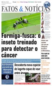Jornal Fatos & Notícias 528