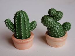 Vintage avon salt and pepper shakers decorated with herbs and seasonings dated 1980 from the avon country kitchen collection. Vintage Cactus Salt And Pepper Shakers Vintage Cactus Stuffed Peppers Cactus