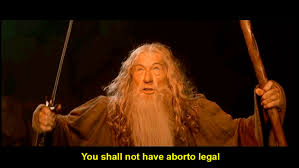 Marcha en redes sociales por el aborto legal. Video Un Abogado Provida Cito Al Senor De Los Anillos Y Los Memes De Gandalf Hicieron Su Magia Vox Portal De Noticias De La Provincia De Mendoza