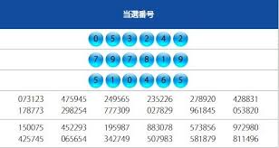 Pin Di Result Togel