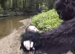 ATOMIC CHRONOSCAPH — Suburban Sasquatch (2004)