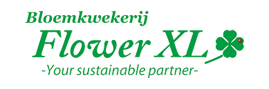 FlowerXL Matthiolakwekerij | Duurzam & Vers