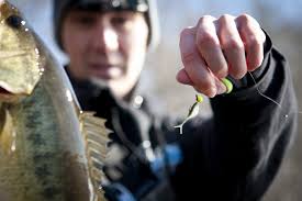 Largemouth Bass by the Calendar