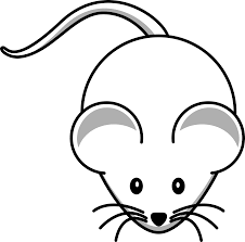 Here you can download all the coloring pages and print them for free. Mouse 13956 Animals Printable Coloring Pages