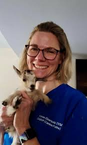 Scanvet Mobile Veterinary Ultrasound