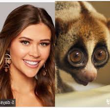 Anna Modica (@annamodicaa)