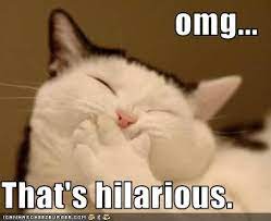 Thats Hilarious Wolfiesfighters