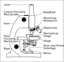 We did not find results for: Microscope With Labels Clip Art Microscope Parts Scientific Method Science Diagrams