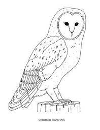 40 coloring pages of nature around the house. Pin On Coloring Pages
