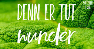 Darunter befindet sich ein suchsel mit den monatsnamen. Kfps6whvy1q5hm