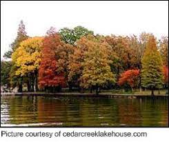 Cedar creek reservoir (alabama) reviews & ratings. Cedar Creek Lake Online Guide Cabins Homes Marinas Fishing More