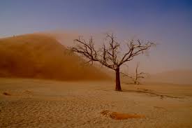 Pendant la tempête de sable, les dégâts de toutes les mascottes sont réduits de 70 points de dégâts et leur précision est réduite de 10%. Tempete De Sable A Sossusvlei Desert Arbres Sossusvlei Naukluft Park Desert Du Namib Namibie Routard Com