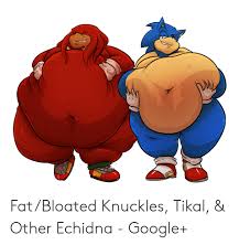 Fatbloated Knuckles Tikal Other Echidna Google Google Meme On Me Me You can only upload 3 icons as a free user. fatbloated knuckles tikal other