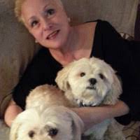 Derrick Luu's Instagram, Twitter & Facebook