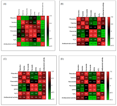 Image result for Garcinia volkensii