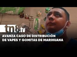 Contundentes pruebas contra el «capo» de los vapes y gomitas con marihuana  en Nicaragua
