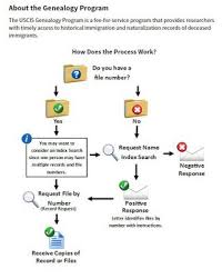 Uscis Flow Chart Family History Education History