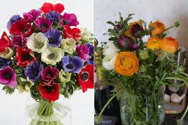 From beautiful flowers to cashmere jumpers you're sure to find something she will love. Marks Spencer Accused Of Ruining Mother S Day With Disgraceful Flower Delivery Service London Evening Standard Evening Standard