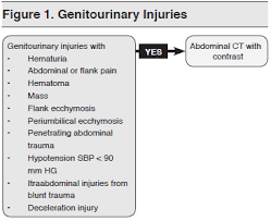 Image result for Genitourinary Trauma